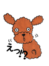 toy poodle sora and pretty girl sticker #8431791