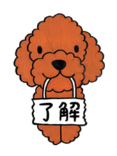 toy poodle sora and pretty girl sticker #8431794
