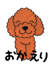 toy poodle sora and pretty girl sticker #8431799
