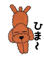 toy poodle sora and pretty girl sticker #8431800