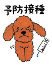 toy poodle sora and pretty girl sticker #8431801