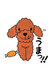 toy poodle sora and pretty girl sticker #8431805