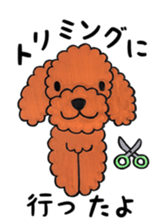 toy poodle sora and pretty girl sticker #8431811