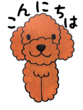 toy poodle sora and pretty girl sticker #8431815