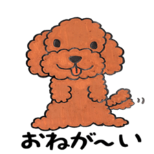 toy poodle sora and pretty girl sticker #8431816