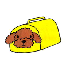 toy poodle sora and pretty girl sticker #8431819