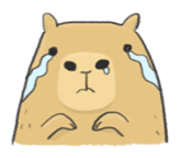 Hey Capybara! sticker #8432623