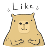 Hey Capybara! sticker #8432625