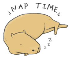 Hey Capybara! sticker #8432636