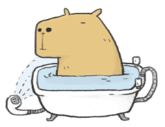 Hey Capybara! sticker #8432637