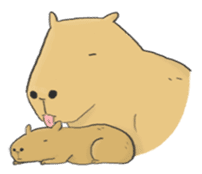 Hey Capybara! sticker #8432640