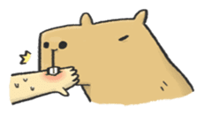 Hey Capybara! sticker #8432643