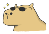 Hey Capybara! sticker #8432646