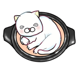 Almost White Cat sticker #8432992