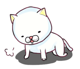 Almost White Cat sticker #8433013