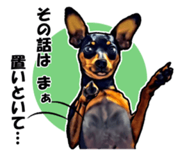 THE REAL MINIPIN FESTIVAL sticker #8433581