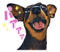 THE REAL MINIPIN FESTIVAL sticker #8433583