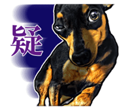 THE REAL MINIPIN FESTIVAL sticker #8433589