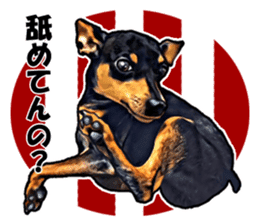 THE REAL MINIPIN FESTIVAL sticker #8433590