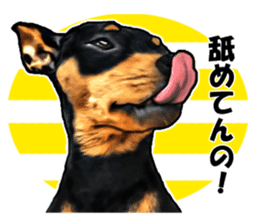 THE REAL MINIPIN FESTIVAL sticker #8433591