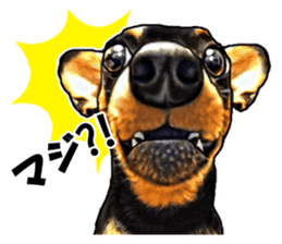 THE REAL MINIPIN FESTIVAL sticker #8433593