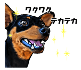 THE REAL MINIPIN FESTIVAL sticker #8433596