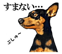 THE REAL MINIPIN FESTIVAL sticker #8433597