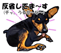 THE REAL MINIPIN FESTIVAL sticker #8433598