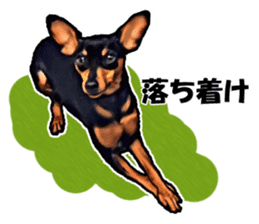 THE REAL MINIPIN FESTIVAL sticker #8433599