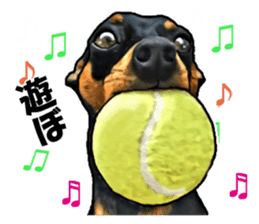 THE REAL MINIPIN FESTIVAL sticker #8433603