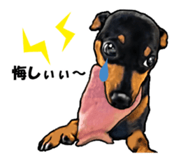 THE REAL MINIPIN FESTIVAL sticker #8433607