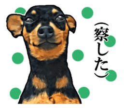 THE REAL MINIPIN FESTIVAL sticker #8433608