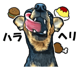 THE REAL MINIPIN FESTIVAL sticker #8433609