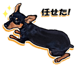 THE REAL MINIPIN FESTIVAL sticker #8433614