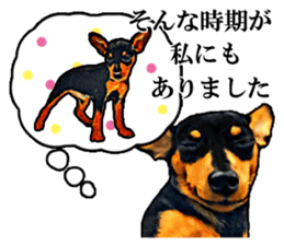 THE REAL MINIPIN FESTIVAL sticker #8433615