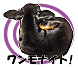 THE REAL MINIPIN FESTIVAL sticker #8433618