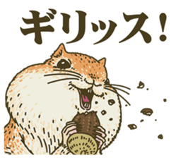 It's a squirrel 2 sticker #8433798