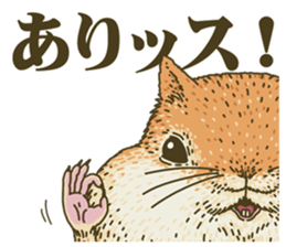 It's a squirrel 2 sticker #8433799