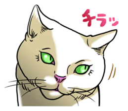 Let's Go BUNTA! sticker #8436623