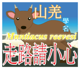 Elder Says.. sticker #8437518