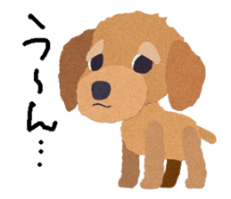 Toy Poodle "Top" sticker #8438020