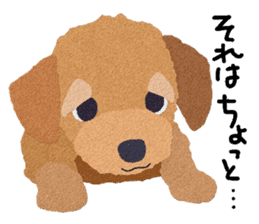 Toy Poodle "Top" sticker #8438025