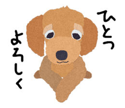 Toy Poodle "Top" sticker #8438027