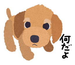 Toy Poodle "Top" sticker #8438036