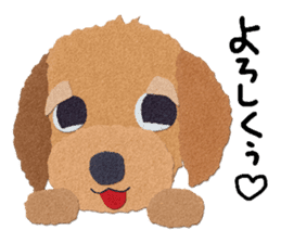 Toy Poodle "Top" sticker #8438043