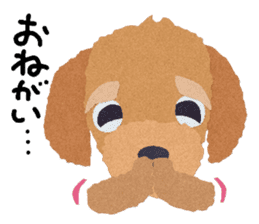 Toy Poodle "Top" sticker #8438056