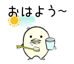 Piyo of Bocci. sticker #8442782