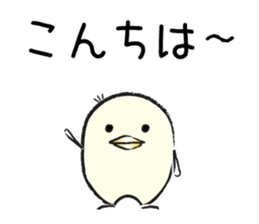 Piyo of Bocci. sticker #8442783