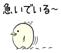 Piyo of Bocci. sticker #8442785