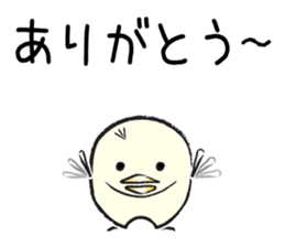 Piyo of Bocci. sticker #8442786